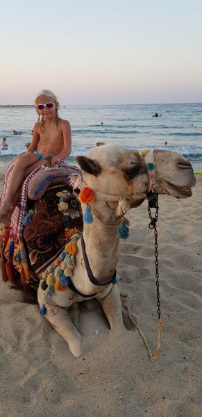 gal/2018/15 Egypt 2018/20180806_181305.jpg